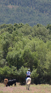 Paisajes de Rascafr&iacute;a